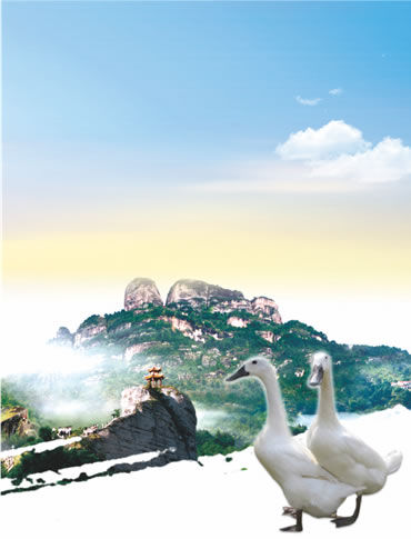 福建連城村居香農(nóng)業(yè)發(fā)展有限公司